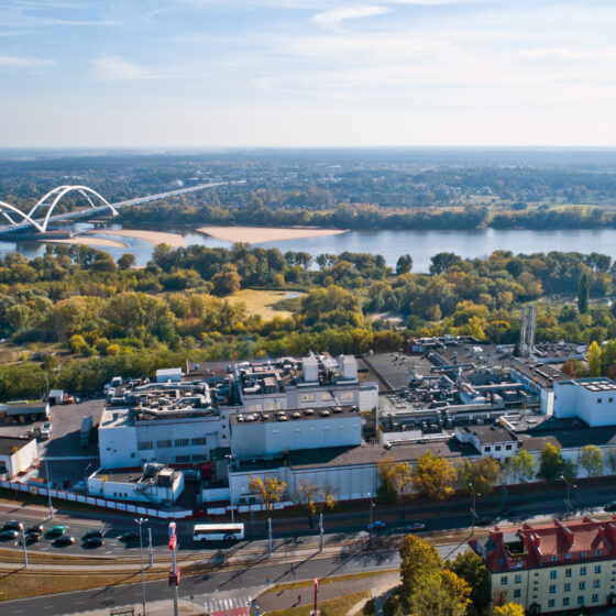 Rok automatyzacji i cyfryzacji