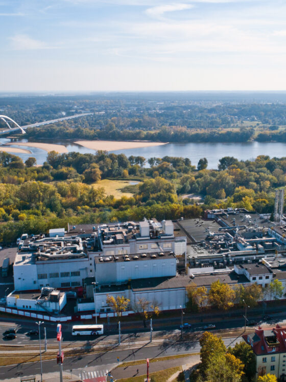 Rok automatyzacji i cyfryzacji